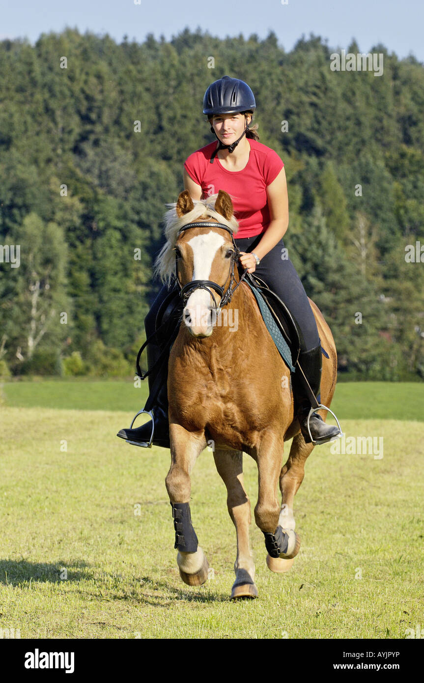 Mädchen Auf Haflinger Pferd Im Galopp Stockfotografie Alamy 