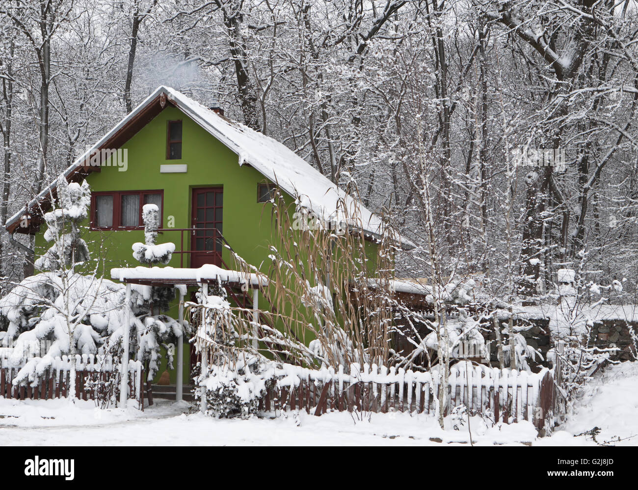 grünes Haus mitten im Wald mit Schnee bedeckt