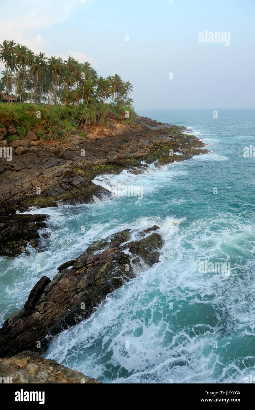 Tropischer Strand mit Palmen in Sri Lanka Insel Stockfotografie - Alamy