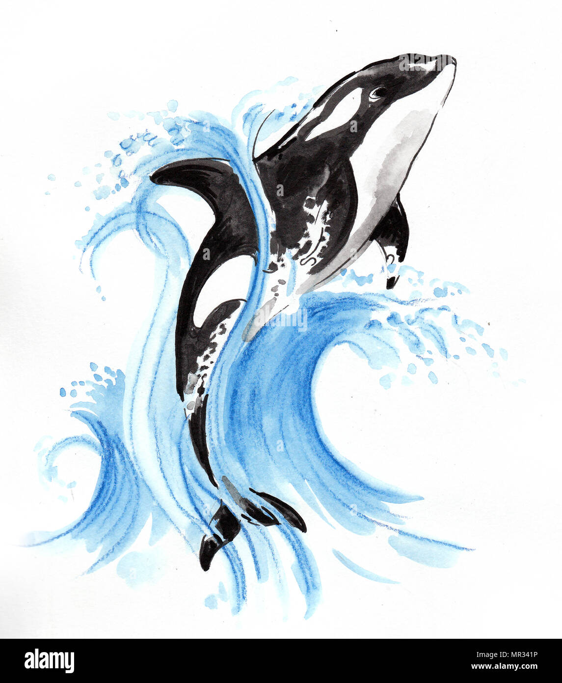 Springen Orca. Aquarell Skizze Stockfotografie Alamy