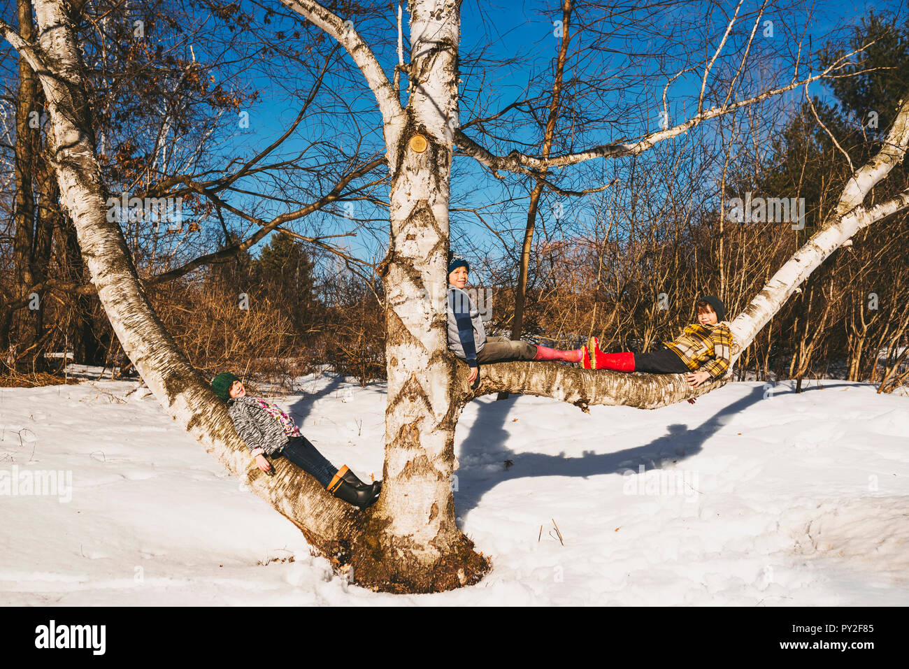 Drei Kinder Sitzen Auf Dem Baum United States Stockfotografie Alamy 5698
